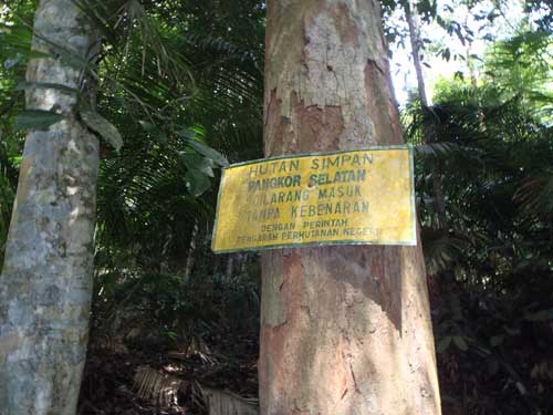 Jungle trekking Teluk Segadas to Pasir Bogak