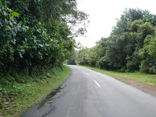 Amazingly quiet roads through plantations and undisturbed jungles near Tanjong Tualang