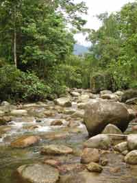 River trekking in Taiping