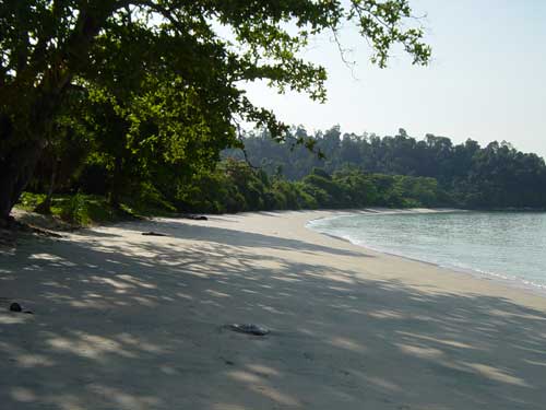 Beach of Teluk Rubiah