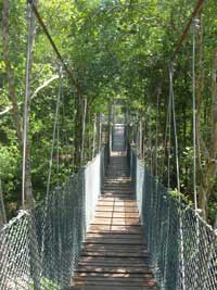Hanging bridge Taman Paya Bakau