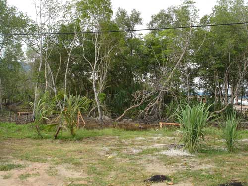 A piece of land for sale at Teluk Senangin